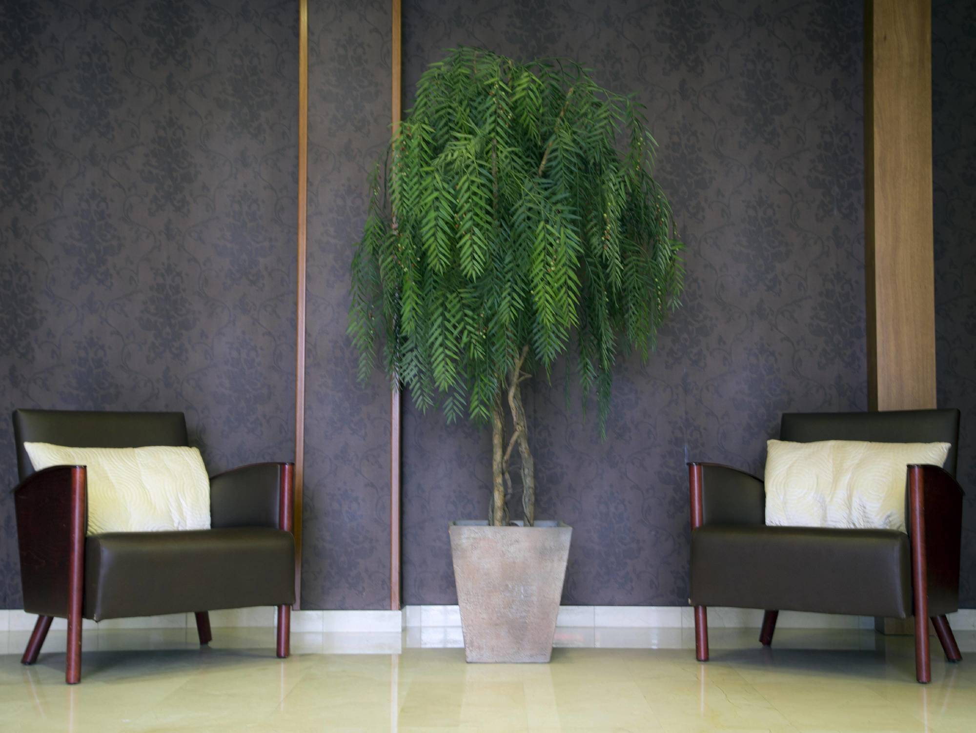 Bcn Urbaness Hotels Del Comte Barcelona Luaran gambar